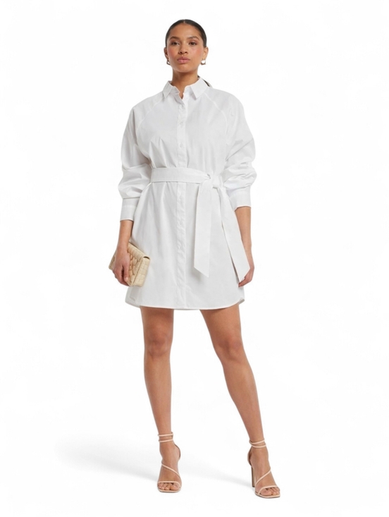 Express Dresses & Skirts - EXPRESS Boyfriend Poplin Mini Portofino Shirt Dress